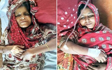 কালিগঞ্জে বিজিবি সদস্যের নেতৃত্বে ফিল্মি স্টাইলে জমি দখল হুমকি ও মারপিট, দুই নারী আহত