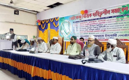 কালিগঞ্জে জাতীয় সংসদ নির্বাচনে ভোটকেন্দ্র  পর্যায়ের দায়িত্বশীল সমাবেশ