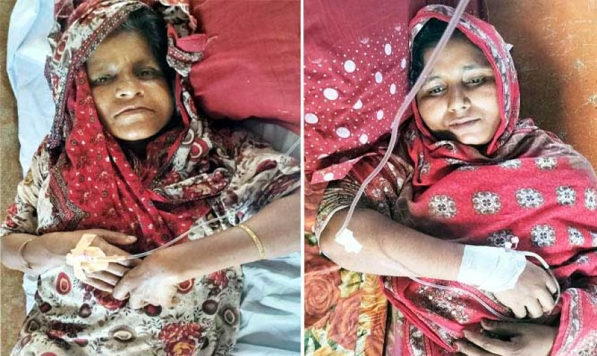 কালিগঞ্জে বিজিবি সদস্যের নেতৃত্বে ফিল্মি স্টাইলে জমি দখল হুমকি ও মারপিট, দুই নারী আহত