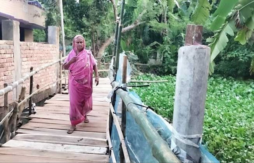কালিগঞ্জে বিজিবি সদস্যের নেতৃত্বে ফিল্মি স্টাইলে জমি দখল হুমকি ও মারপিট, দুই নারী আহত