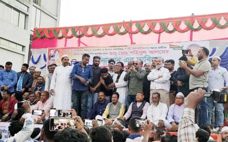 ডা. শহিদুল আলমকে সাতক্ষীরা-৩ আসনে মনোনয়ন প্রদানের দাবিতে কালিগঞ্জে জনসভা জনসমুদ্রে পরিণত