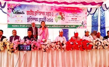 কালিগঞ্জে জাতীয় প্রাণিসম্পদ সপ্তাহ উপলক্ষে র‌্যালি আলোচনা সভা ও প্রাণিসম্পদ প্রদর্শনী