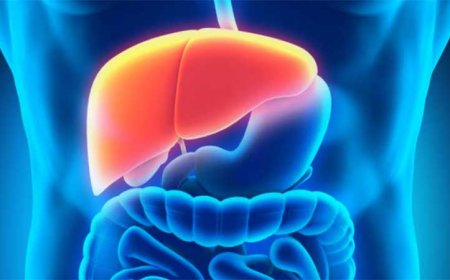 লিভারের জন্য বিপজ্জনক যে ৫ খাবার