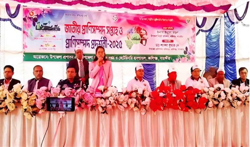 কালিগঞ্জে জাতীয় প্রাণিসম্পদ সপ্তাহ উপলক্ষে র‌্যালি আলোচনা সভা ও প্রাণিসম্পদ প্রদর্শনী