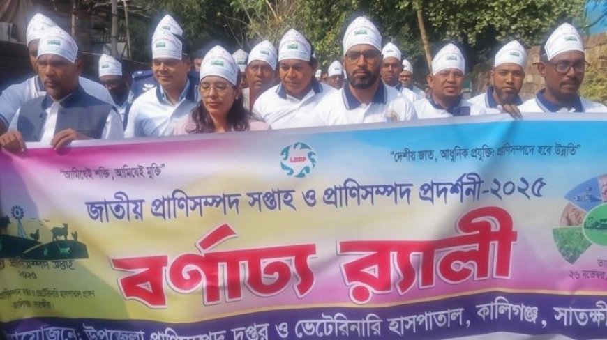 কালিগঞ্জে জাতীয় প্রাণিসম্পদ সপ্তাহ উপলক্ষে র‌্যালি আলোচনা সভা ও প্রাণিসম্পদ প্রদর্শনী