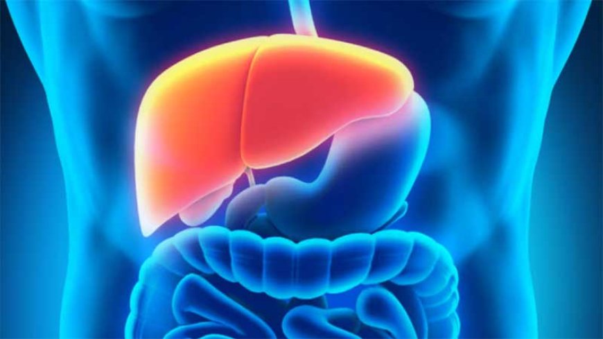 লিভারের জন্য বিপজ্জনক যে ৫ খাবার
