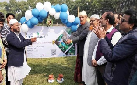 ক্যাম্পাসে দেড় শতাধিক পাখির অভয়াশ্রম গড়লো কালিগঞ্জ সরকারি কলেজের শিক্ষার্থীরা