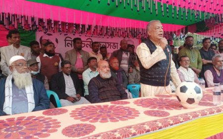 কালিগঞ্জের ভাড়াশিমলায় সাতক্ষীরা-৩ আসনে স্বতন্ত্র প্রার্থী ডা. শহিদুল আলমের জনসভা