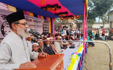 কালিগঞ্জের কৃষ্ণনগরে জামায়াতের কৃষক ও শ্রমিক সমাবেশ