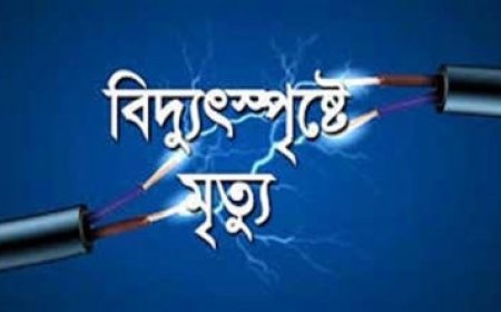 সাতক্ষীরার কালিগঞ্জে বিদ্যুৎস্পৃষ্টে ঘের শ্রমিকের মৃত্যু