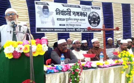 দেবহাটায় দাঁড়িপাল্লা প্রতীকের পথসভা, নারী সমাবেশসহ বিভিন্ন কর্মসূচি  