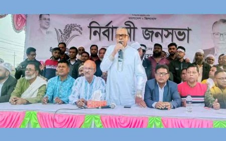 দেবহাটার সখিপুর ইউনিয়ন বিএনপির আয়োজনে নির্বাচনী জনসভা