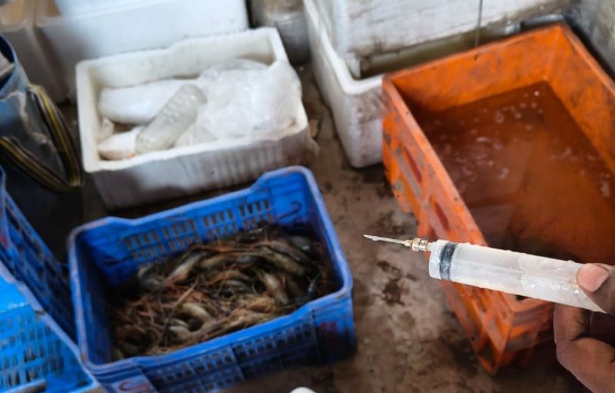 ডুমুরিয়ায় ভ্রাম্যমাণ আদালতে চিংড়ি ব্যবসায়িকে জরিমানা