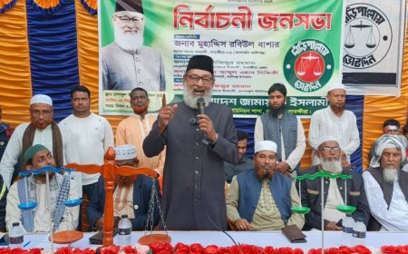 দাঁড়িপাল্লা প্রতীকে ভোট দিয়ে সৎ ও যোগ্য নেতৃত্ব বেছে নিন: মুহাদ্দিস রবিউল বাশার