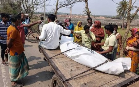 সাতক্ষীরায় গরুবোঝাই ইঞ্জিনভ্যান খাদে পড়ে নিহত ২, আহত ২