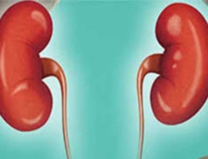 কিডনি পরিষ্কার রাখে যে ৭ খাবার