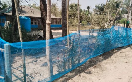 কালিগঞ্জে জমি দখলের অভিযোগ ১০ জনের বিরুদ্ধে থানায় অভিযোগ