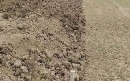 শ্যামনগরের আটুলিয়ায় সৌদি প্রবাসীর জমি দখলের পাঁয়তারা 