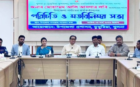 উন্নয়ন প্রকল্পে কাউকে দুর্নীতি করতে দেয়া হবে না: এমপি আলি আসগার লবি