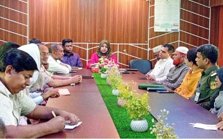 কালিগঞ্জে শহীদ বুদ্ধিজীবী দিবস ও স্বাধীনতা দিবস উদযাপনে প্রস্তুতি সভা