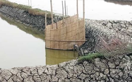 আশাশুনির ডাসেরআটিতে মৎস্য ঘের জবর দখল, থানায় অভিযোগ