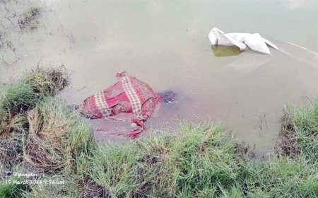 পাইকগাছায় পুলিশ কর্মকর্তার মায়ের রহস্যজনক মৃত্যু