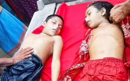 কালিগঞ্জে নানার বাড়ি বেড়াতে এসে পানিতে ডুবে ভাই-বোনের মৃত্যু