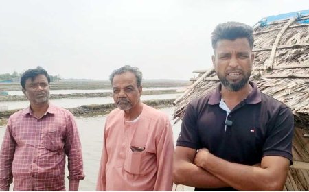 আশাশুনিতে পৈত্রিক ও খরিদা সূত্রে ভোগদখলীয় জমি নিয়ে ষড়যন্ত্রের অভিযোগ