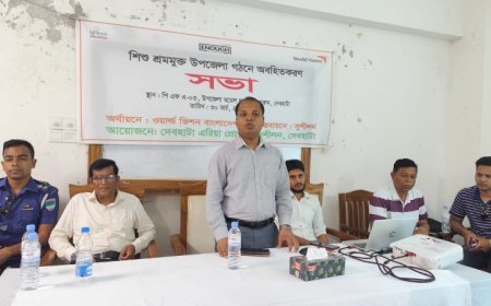 শিশুশ্রম মুক্ত দেবহাটা গড়তে অবহিতকরণ সভা 