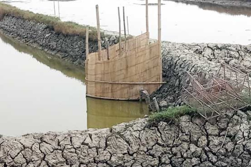 আশাশুনির ডাসেরআটিতে মৎস্য ঘের জবর দখল, থানায় অভিযোগ