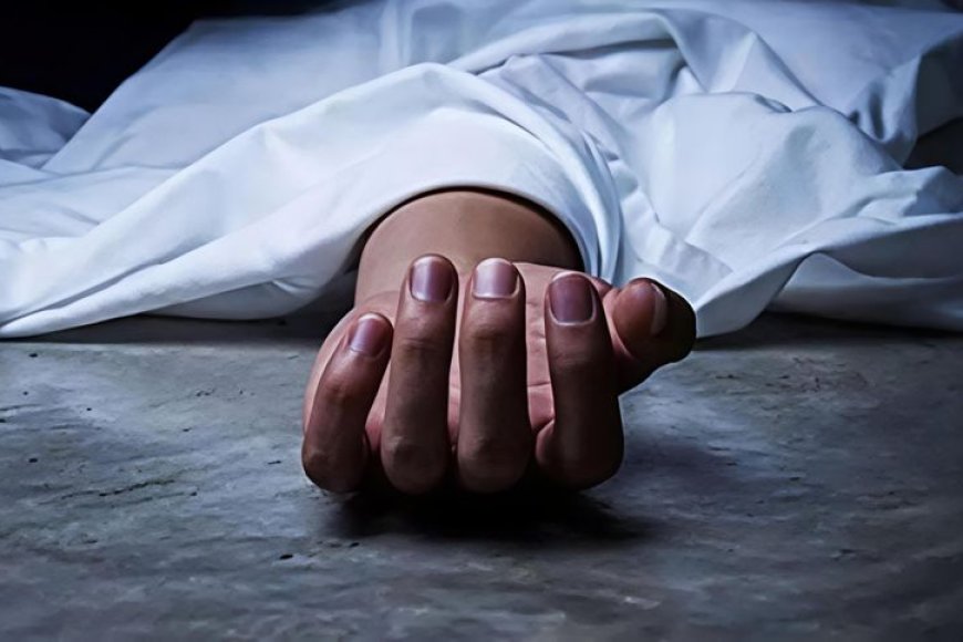 সৈয়দপুরে আর্থিক অনটনে পড়ে ট্রাকচালকের আত্মহত্যা