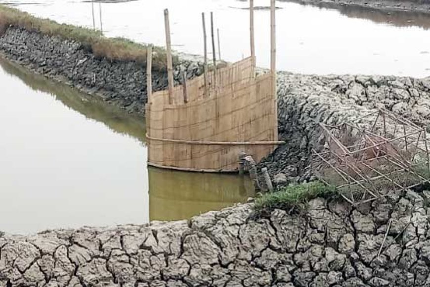 আশাশুনির ডাসেরআটিতে মৎস্য ঘের জবর দখল, থানায় অভিযোগ