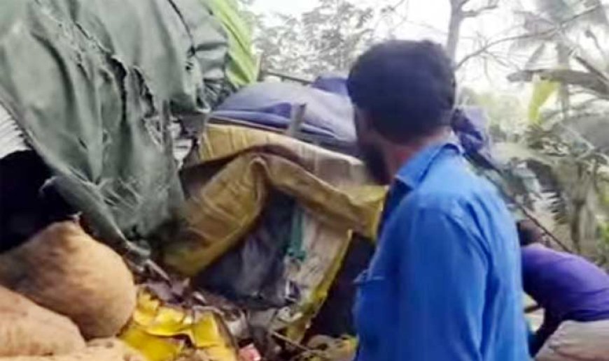 নাটোরে আলু ও সুপারীবাহী দুই ট্রাকের সংঘর্ষে নিহত ১, আহত ৩