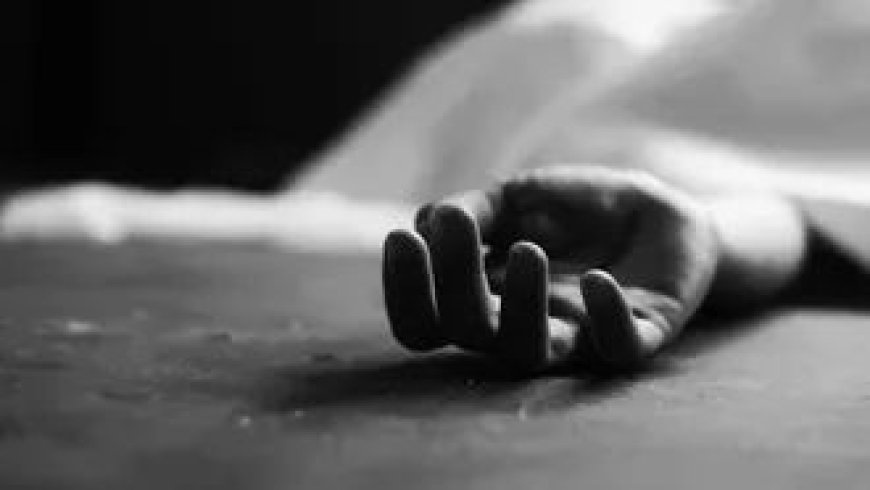 সৈয়দপুরে ট্রেনের ধাক্কায় মানসিক ভারসাম্যহীন বৃদ্ধার মৃত্যু