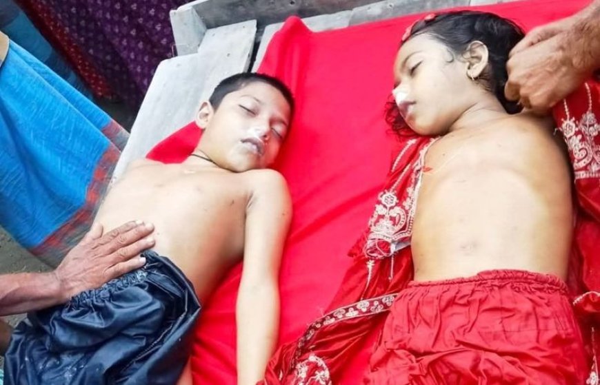 কালিগঞ্জে নানার বাড়ি বেড়াতে এসে পানিতে ডুবে ভাই-বোনের মৃত্যু