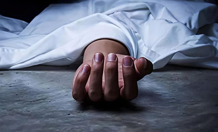 সৈয়দপুরে আর্থিক অনটনে পড়ে ট্রাকচালকের আত্মহত্যা