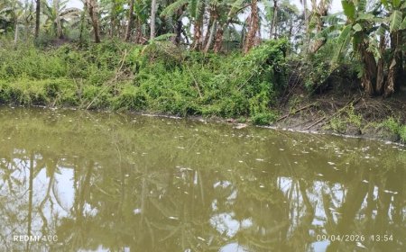 কালিগঞ্জে জমিজমার বিরোধে পুকুরে বিষপ্রয়োগ ও মারপিট, আহত ৪