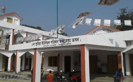 কুলিয়া ইউনিয়ন পরিষদের জমি দখল: প্রশাসন নীরব!