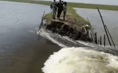 সুনামগঞ্জে ফসল রক্ষা বাঁধ ভেঙ্গে পানি প্রবেশ কৱছে হাওরে