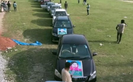 অর্ধশত গাড়ি নিয়ে শোডাউন: নাটোরে ছাত্রদল নেতা বহিষ্কার