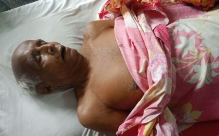 পাইকগাছায় ছোট ভাইয়ের ধাক্কায় প্রাণ গেল বড় ভাইয়ের