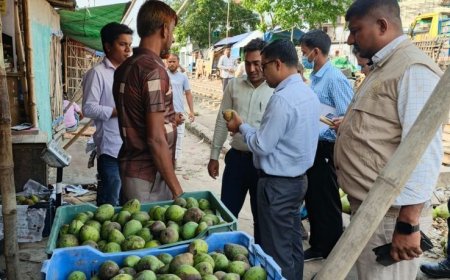 সৈয়দপুরে কেমিক্যাল মিশ্রিত আম বিক্রির দায়ে আড়তদারের এক লাখ টাকা অর্থদণ্ড