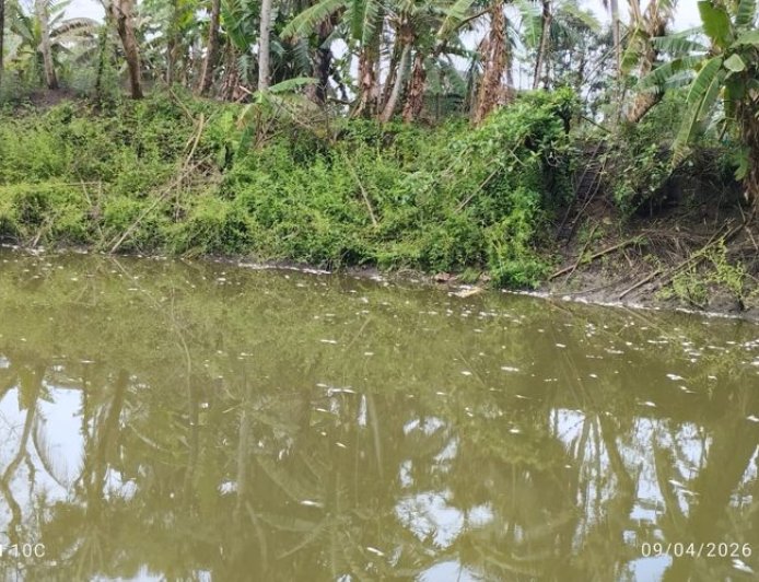 কালিগঞ্জে জমিজমার বিরোধে পুকুরে বিষপ্রয়োগ ও মারপিট, আহত ৪