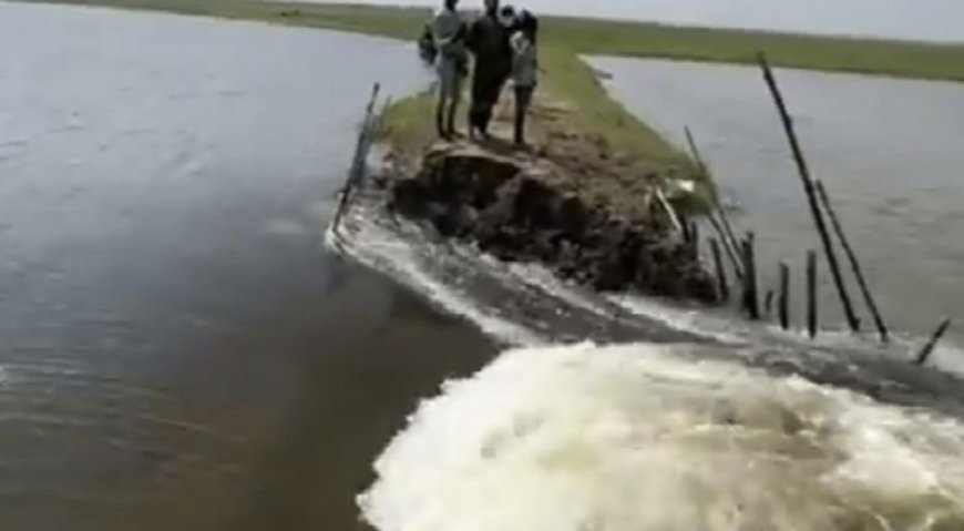 সুনামগঞ্জে ফসল রক্ষা বাঁধ ভেঙ্গে পানি প্রবেশ কৱছে হাওরে