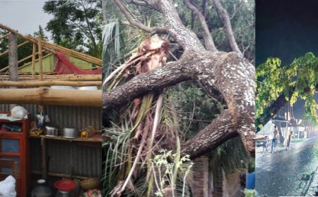 ঝড়ের কবলে দেবহাটায় বসতবাড়ি ও ব্যবসায়িক প্রতিষ্ঠানে ব্যাপক ক্ষয়ক্ষতি
