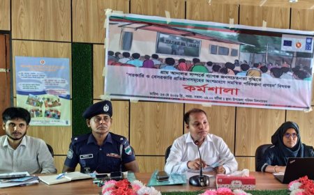 দেবহাটায় গ্রাম আদালতের সচেতনতা বাড়াতে সমন্বিত পরিকল্পনা প্রণয়ন কর্মশালা
