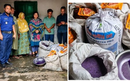 সৈয়দপুরে বালু ও রং মিশ্রিত সাড়ে ৭শ' কেজি কীটনাশক উদ্ধার : ব্যবসায়ীর অর্থদণ্ড
