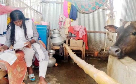 বড়াইগ্রামে সরকারি  বরাদ্দের টাকা বিতরণে অনিয়ম:  গোয়ালঘরে বাস করা মেয়েটির ভাগ্যেও জুটলো না শিক্ষাবৃত্তি!