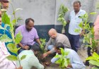 সৈয়দপুরে কৃষক দলের বৃক্ষরোপণ কর্মসূচি