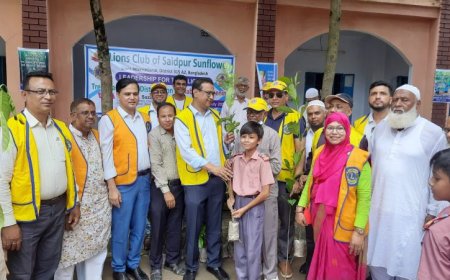 লায়ন্স ক্লাব অব সৈয়দপুর সানফ্লাওয়ারের  উদ্যোগে বৃক্ষরোপন, চারা বিতরণ 